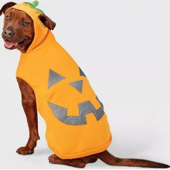 Hyde and Eek! Reflective Jack-O-Lantern Pet Hoodie - Picture 1 of 11